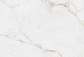 Abu Dhabi White Neolith