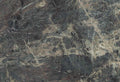 Amazonico Neolith